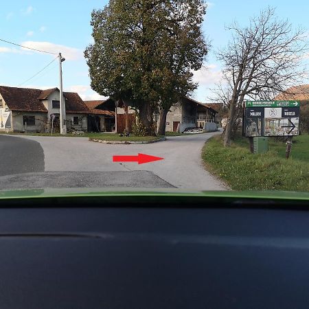 Guesthouse Braslovce - Celje Bagian luar foto