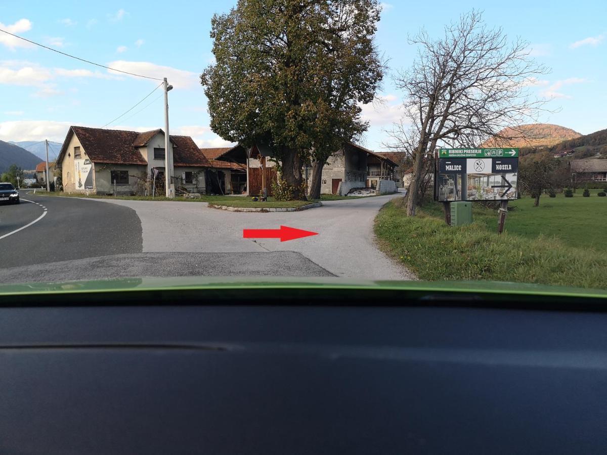 Guesthouse Braslovce - Celje Bagian luar foto