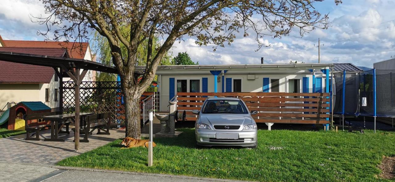 Guesthouse Braslovce - Celje Bagian luar foto