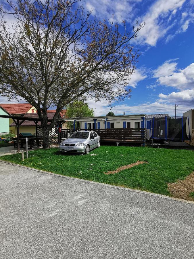 Guesthouse Braslovce - Celje Bagian luar foto